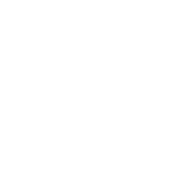Felinaprotocol Logo
